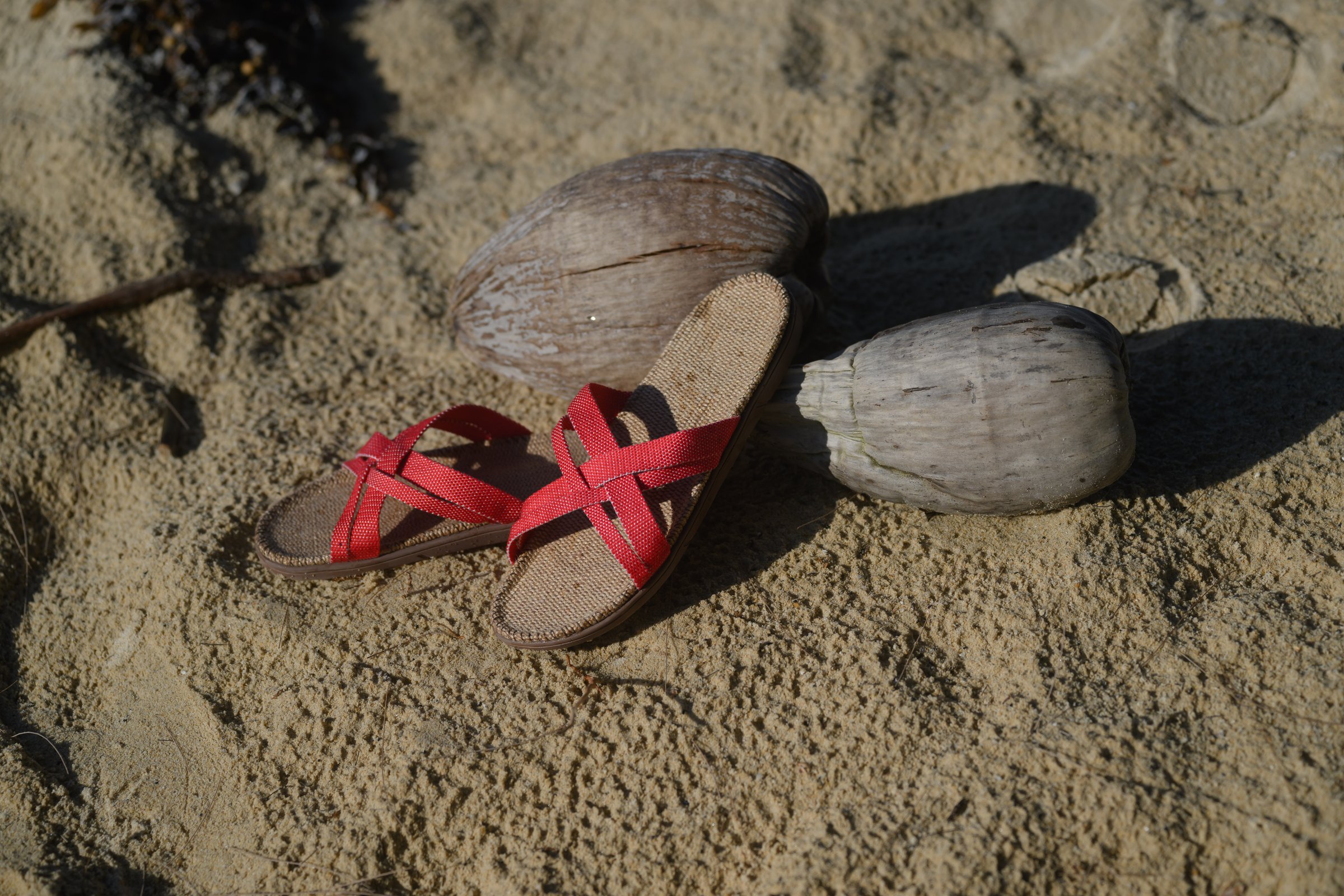Edition Limitee summer collection 2025 — image 6